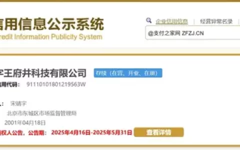 北京数字王府井注销备案，支付牌照整合潮涌向何方？