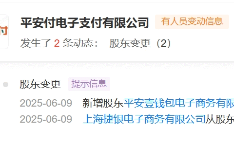 平安集团旗下唯一支付牌照，100%股权变更