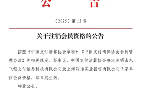 中国支付清算协会公告，两家支付公司被“移出群聊”