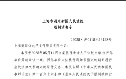 欠税、被执行，上海这家第三方支付机构再收“限高令”