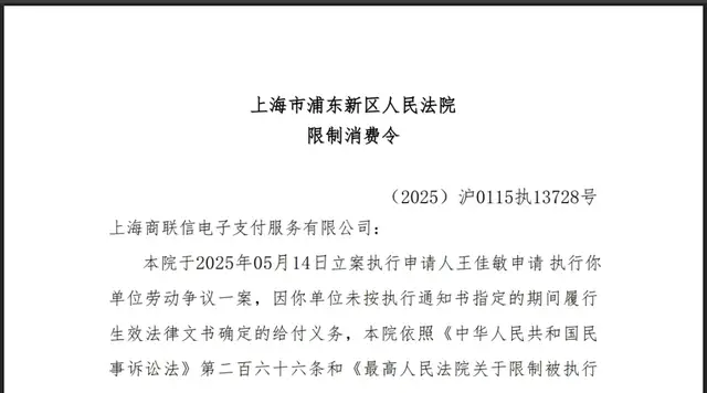 欠税、被执行,上海这家第三方支付机构再收“限高令”