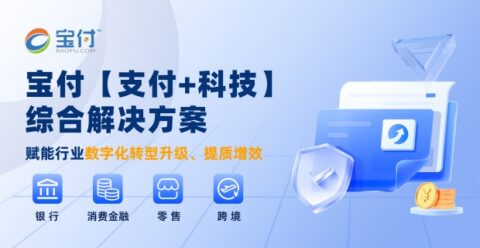 双11来袭！宝付数字化解决方案助力电商破解运营难题