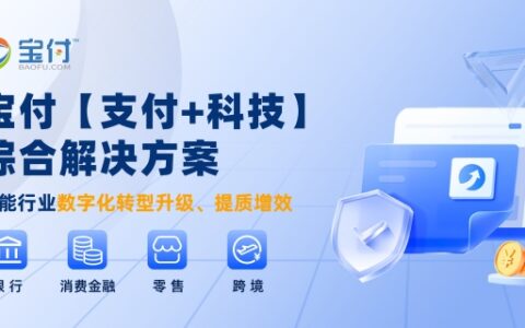 双11来袭！宝付数字化解决方案助力电商破解运营难题