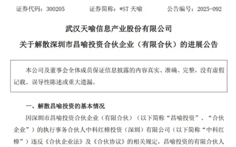 鲲鹏支付二股东启动清算！