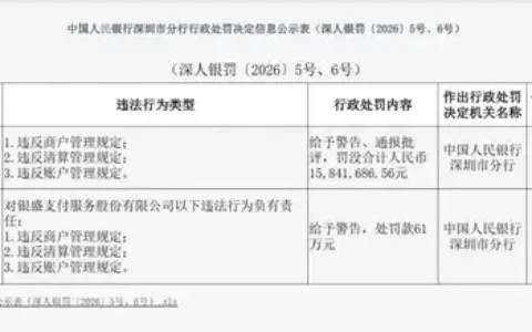 银盛支付三摘“天价罚单”，合计罚没超6000万元