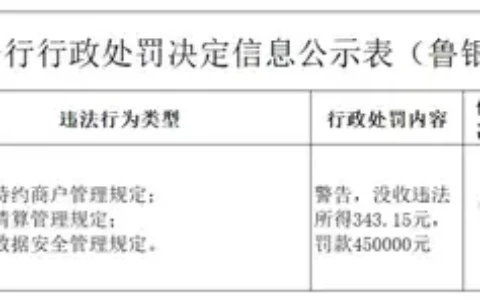 违法所得343.15元！曾被代理商入股的这家支付机构领45万元罚单