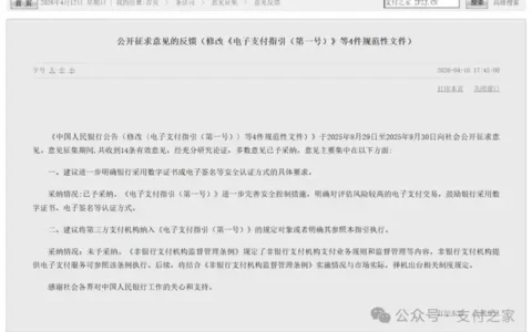 第三方支付未被纳入《电子支付指引》，央行在划清什么