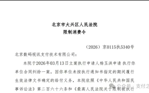 数码视讯旗下支付机构收“限制消费令”