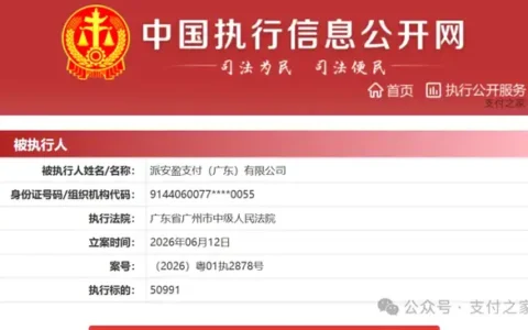 派安盈支付，又被执行了！