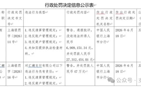 检查材料提供不实，汇潮支付领大额罚单！