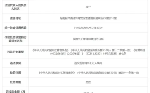 5328万元！年内最高外汇罚单出现了