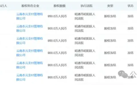 一个执行案，冻结本元支付55%股权！
