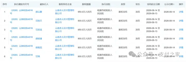 一个执行案，冻结本元支付55%股权！
